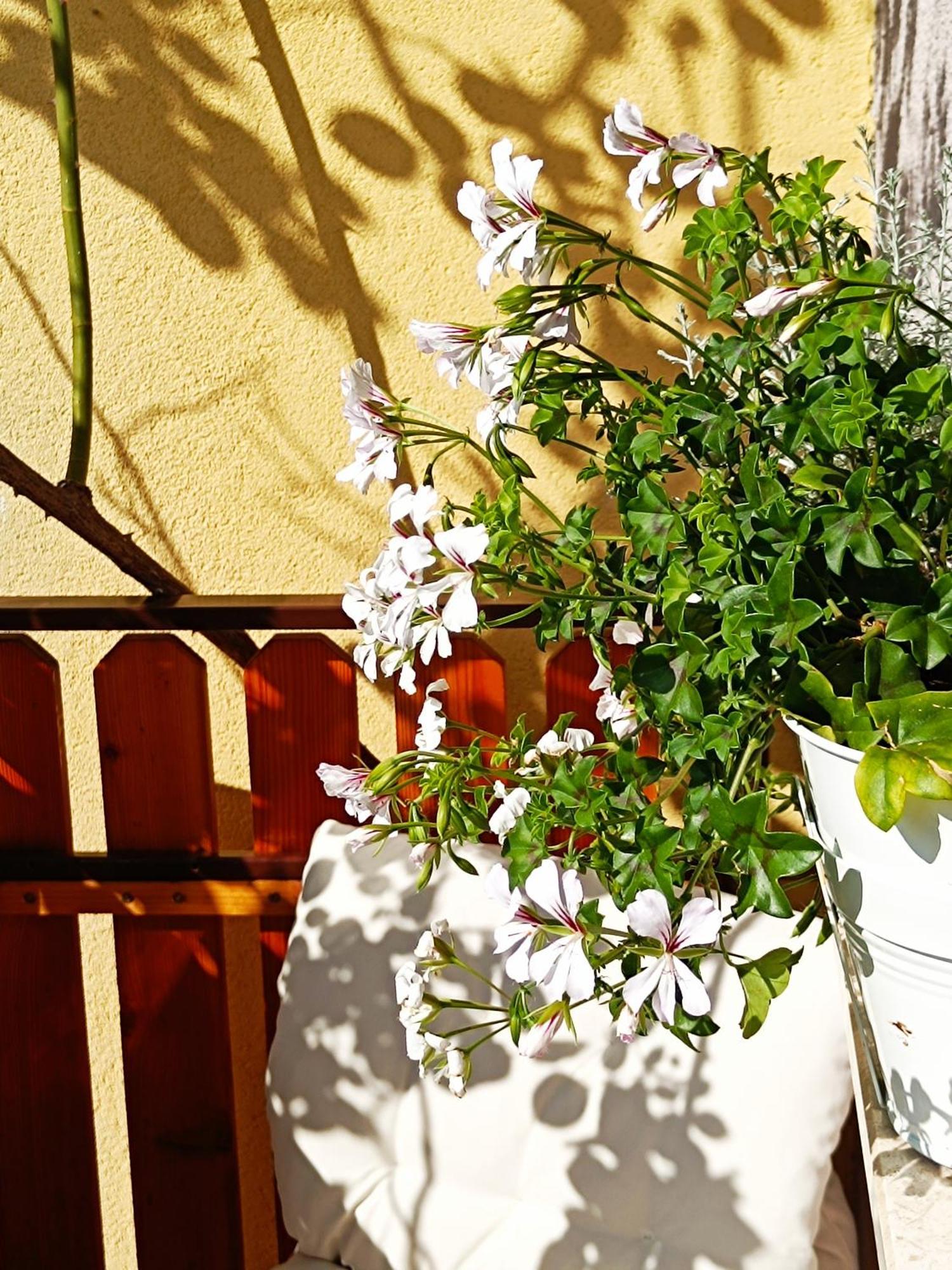 Holiday Home Kristi Bovec Εξωτερικό φωτογραφία